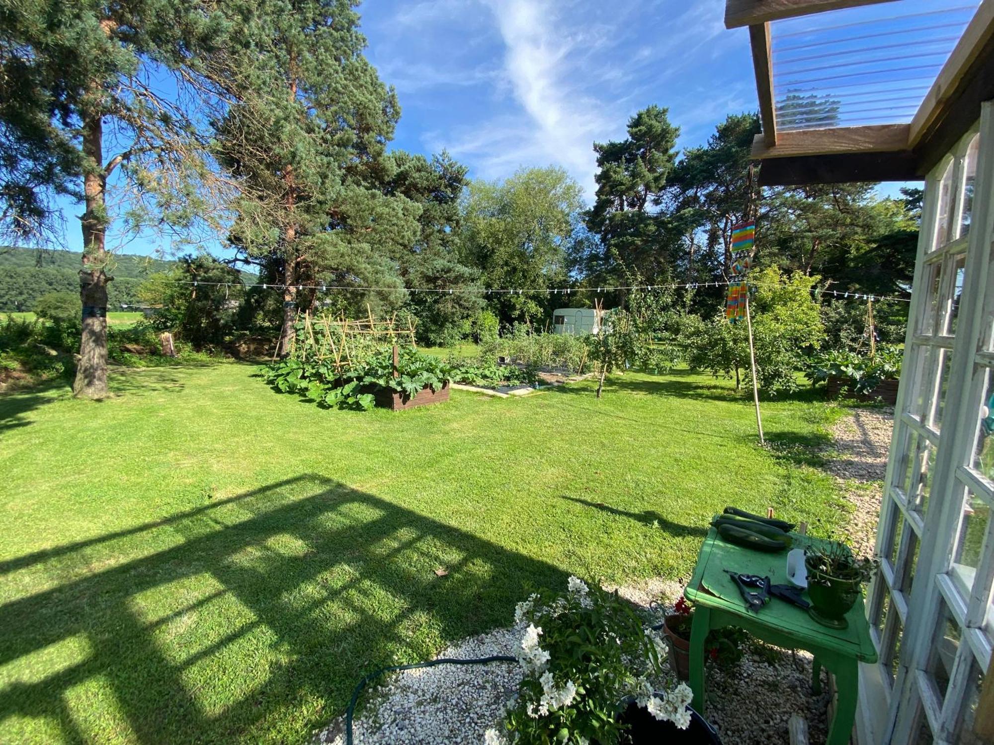 Bed and Breakfast Domaine Du Tafiart Sarron Exterior foto